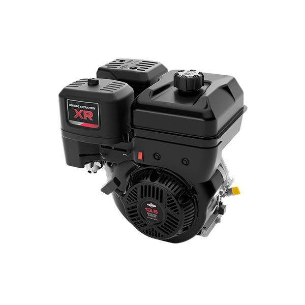 Briggs & Stratton I/C Vertical Engine