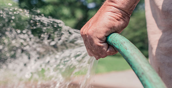 Lawn Watering Tips